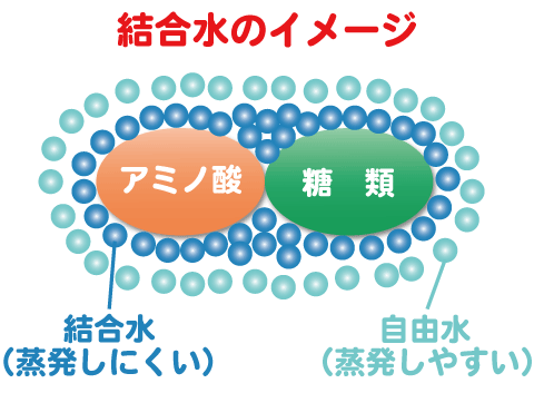 結合水のイメージ図