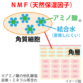 NMFイメージ図