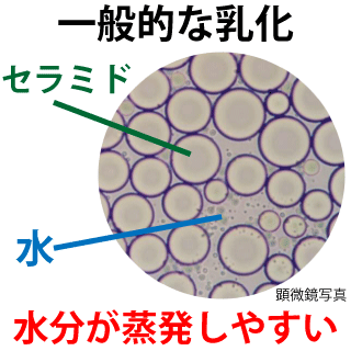 一般的な乳化粒子