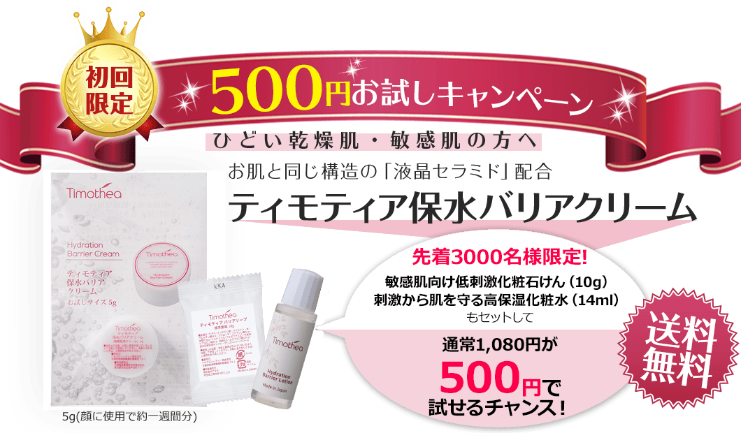 初回限定500円お試しキャンペーン