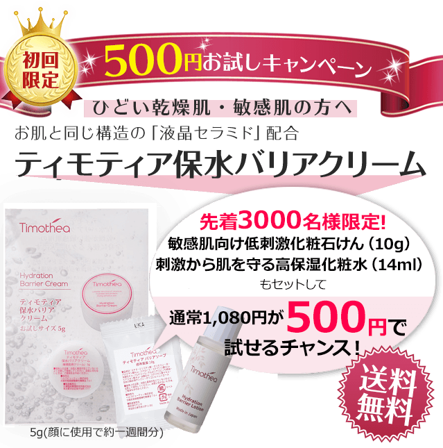 初回限定500円お試しキャンペーン