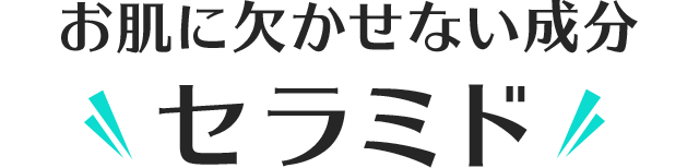 お肌に欠かせない成分セラミド