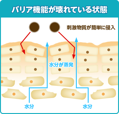 バリア機能が壊れている状態