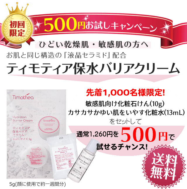 初回限定500円お試しキャンペーン