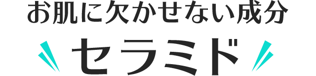 お肌に欠かせない成分セラミド